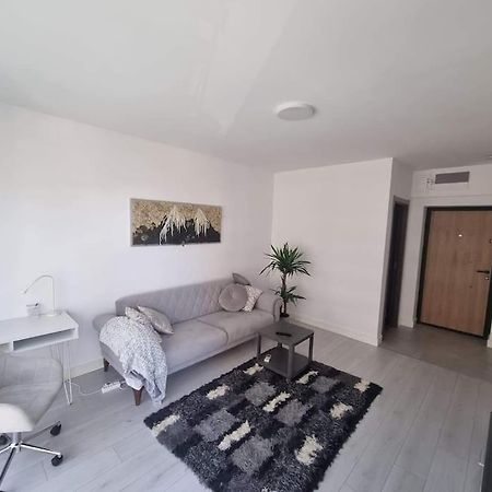 Lovely 1 Bedroom Livingroom Apartment Sector 1 Bucuresti Voluntari Eksteriør billede